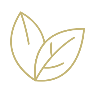 leaf outline